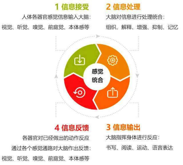 为什么体型在篮球训练中起着关键作用_1